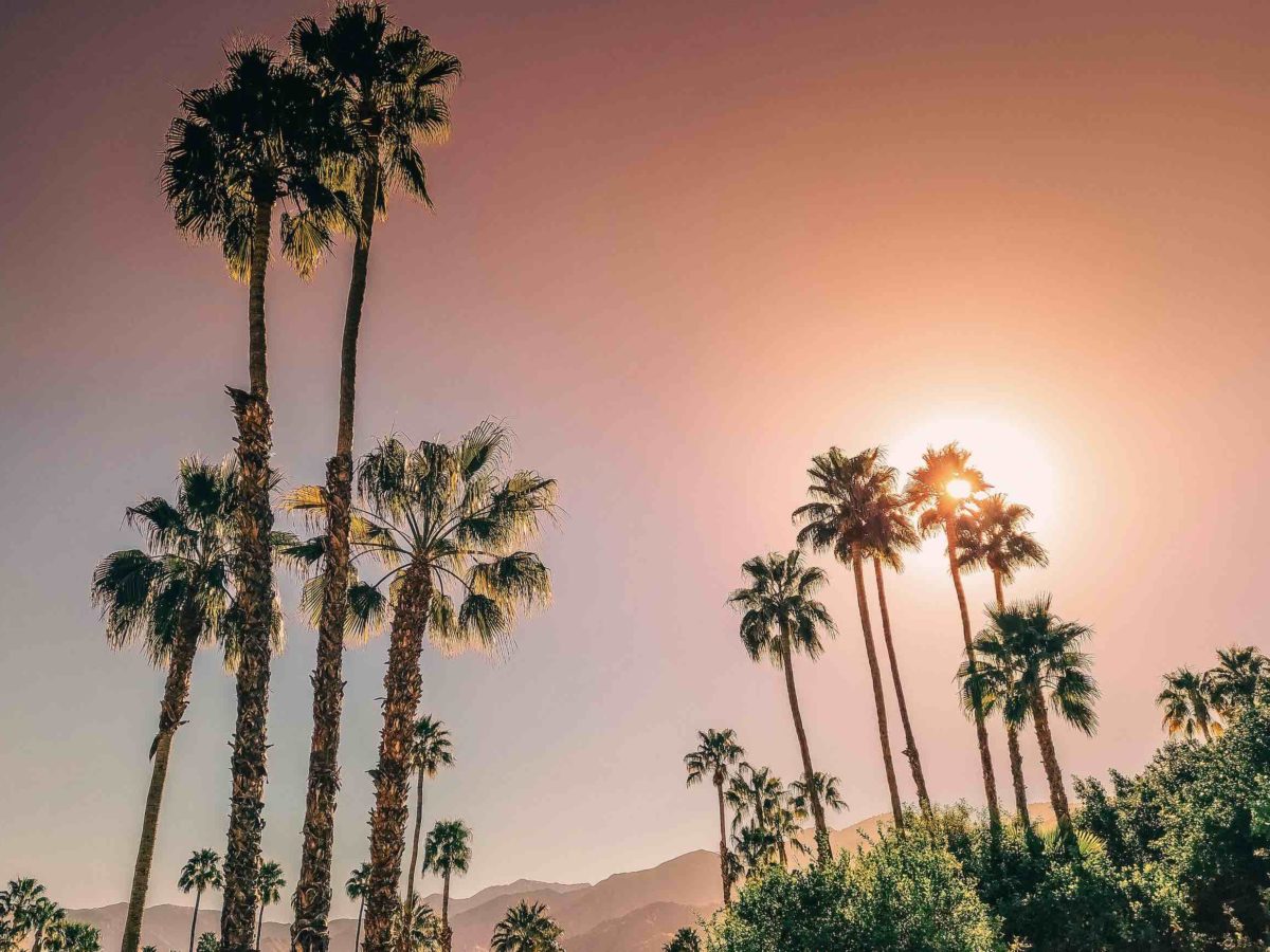 Palm Springs Travel Guide: 48 Hours In Desert Paradise With Tips
